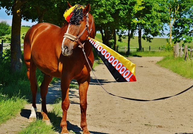 帕尔马1-0比萨，贝内迪恰克点射制胜